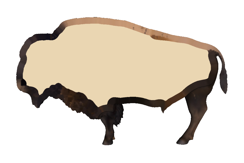 Textured bison clipped at its anatomical midline to expose the colored shell and cream core