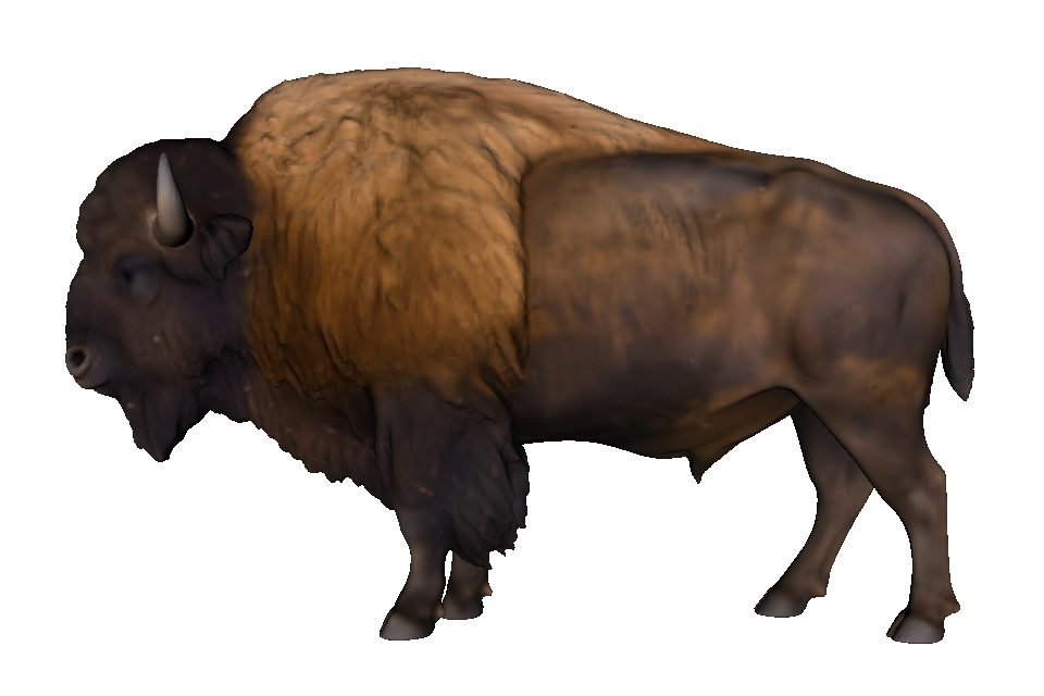 Complete textured bison viewed from the side