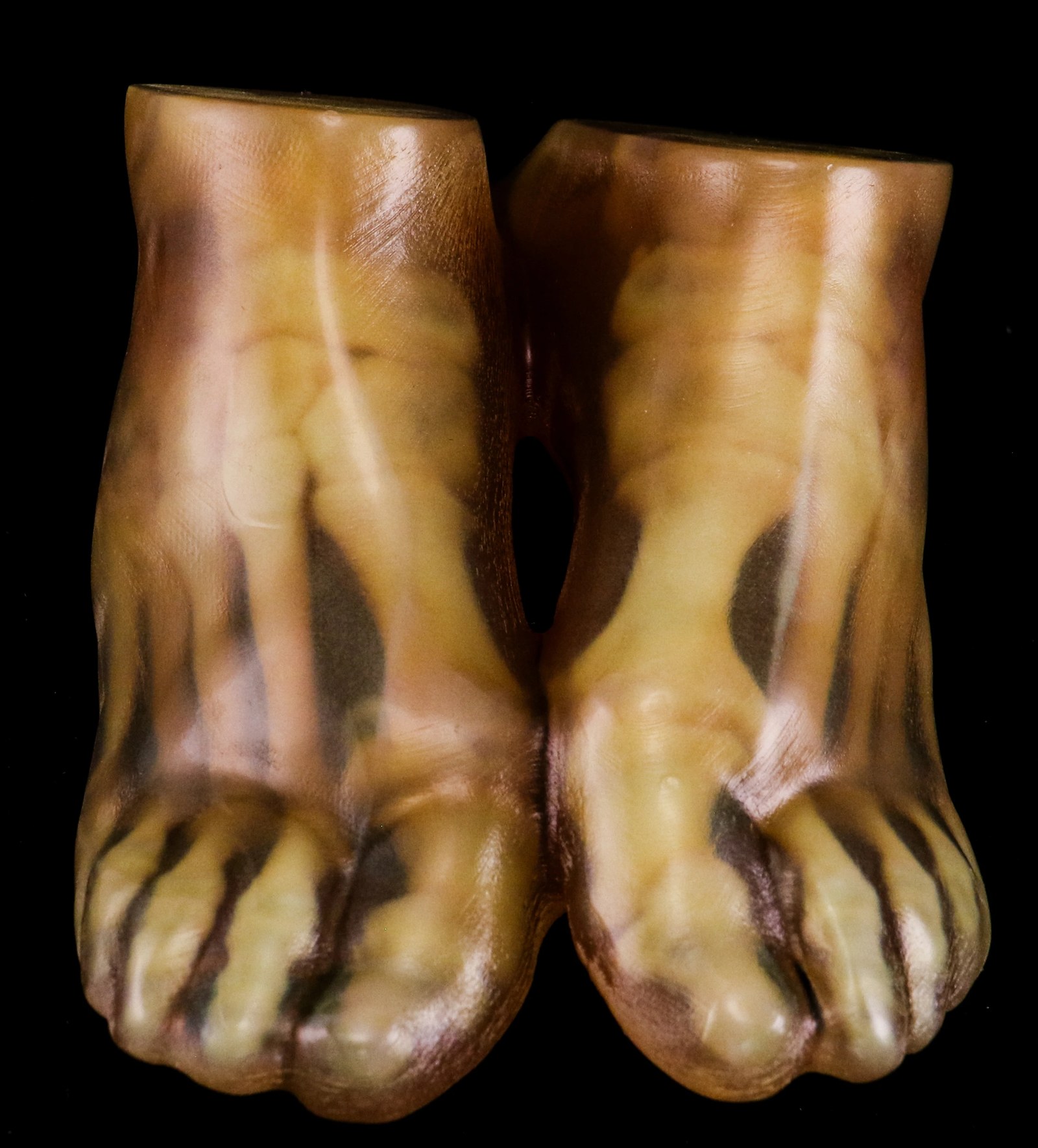 Printed pair of feet in skin tones, with darker bones visible beneath the surface.