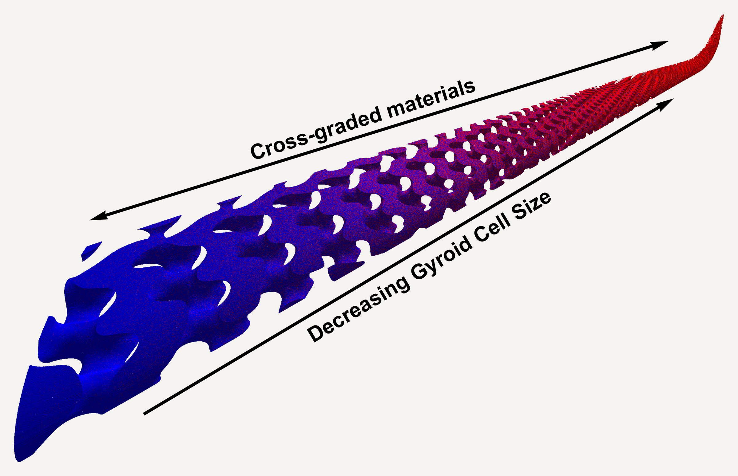 Render of a gyroid-filled wing shading from blue at the root to red at the tip, annotated with arrows labeled cross-graded materials and decreasing gyroid cell size.